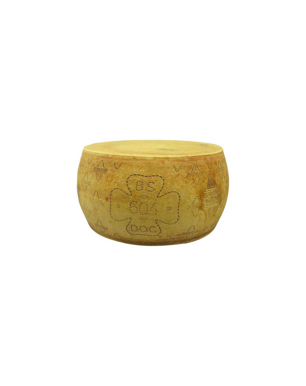 Grana Padano Grana Padano ganzer Laib ca. 35kg 10 Monate