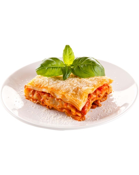 Fertiggerichte Lasagne Bolognese 30 x 350g TK