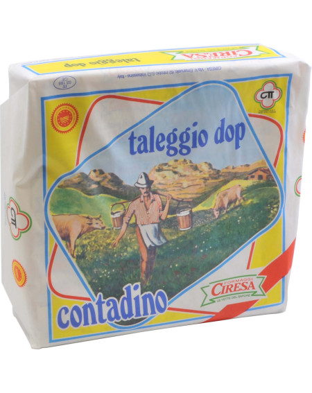 Taleggio Taleggio stagionato ca. 2.2kg