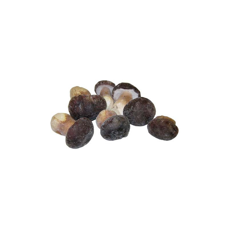 Steinpilze Steinpilze Testa Nera ganz 5kg TK