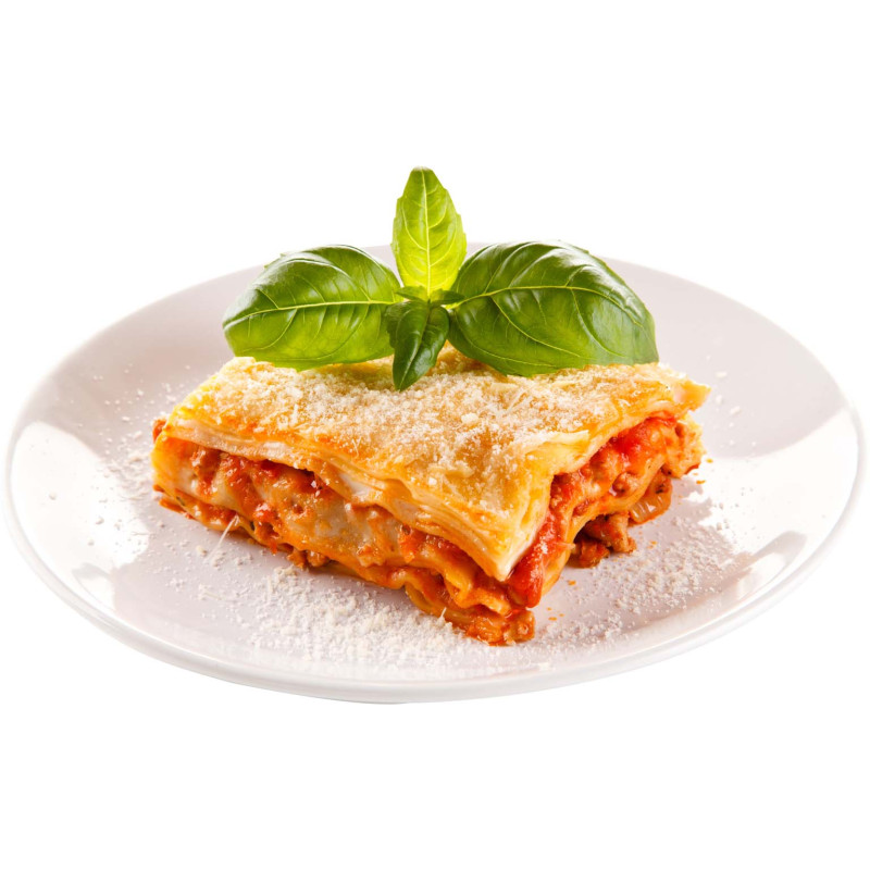 Fertiggerichte Lasagne Bolognese 30 x 350g TK