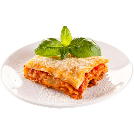 Fertiggerichte Lasagne Bolognese 30 x 350g TK